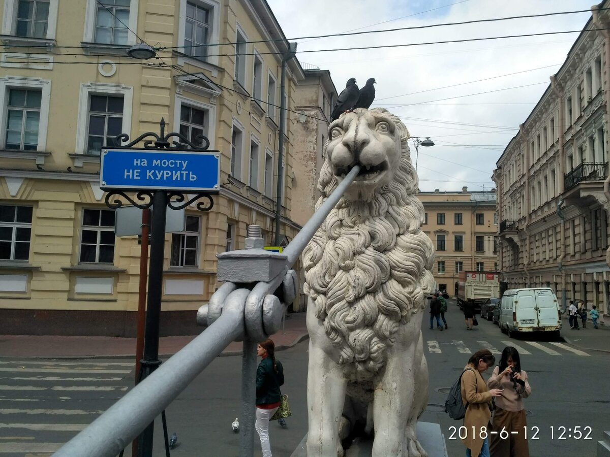 Фото  автора