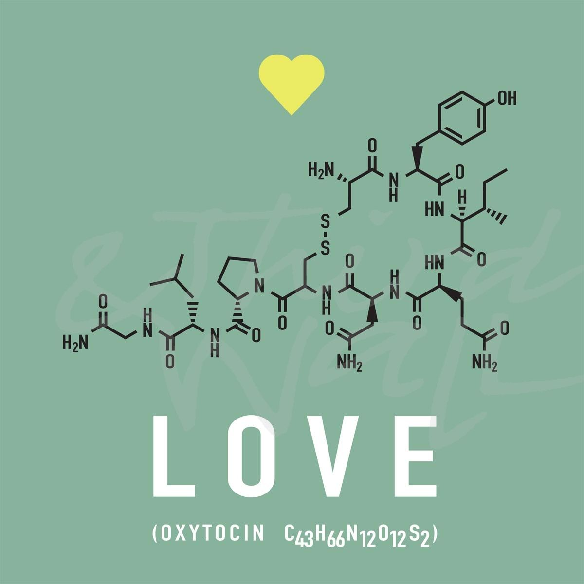 Химическая влюбленность. Химическая формула любви oxytocin. Формула любви химическая формула. Формула любви химия формула. Формула любви химия элементы.