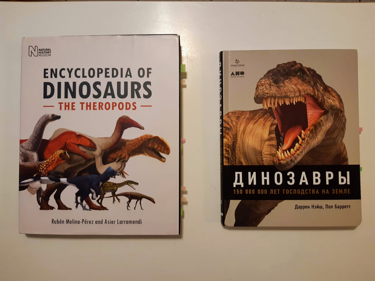 Обзор книги Encyclopedia of Dinosaurs: The Theropods | Алиорам алтайский |  Дзен