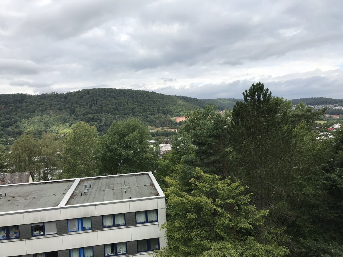 Вид из окна моей комнаты