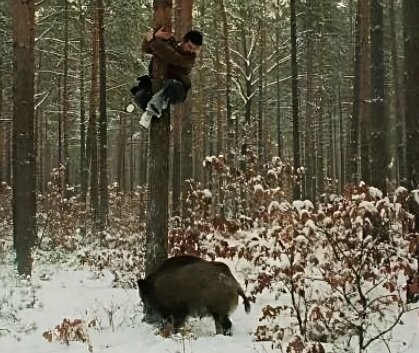 Добавьте описание
