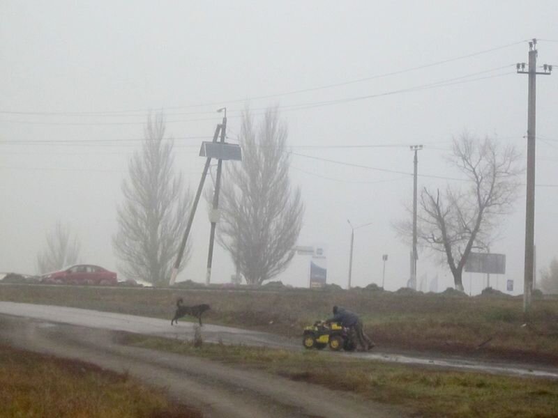 Собственное фото автора