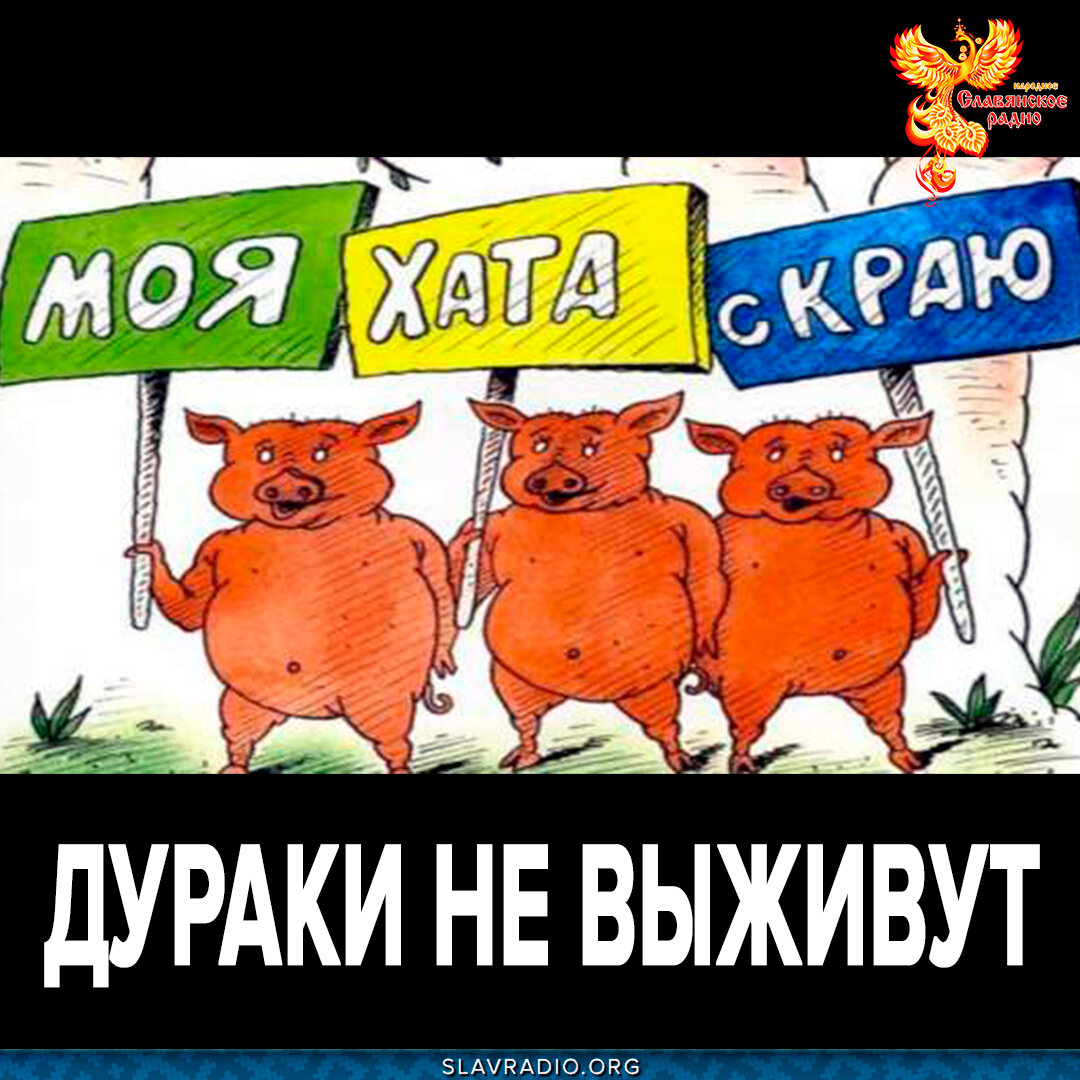 С краю ничего не. Моя хата с краю. Моя хата с краю ничего. Моя хата — с краю высказывание. Моя хата с краю картинки.