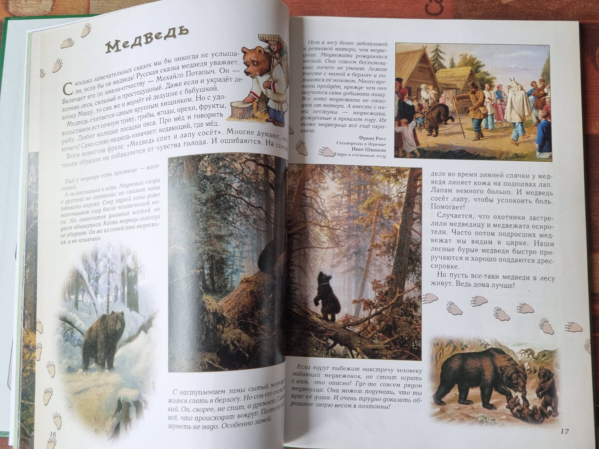 Издательство "Белый город". Прогулки по лесу.