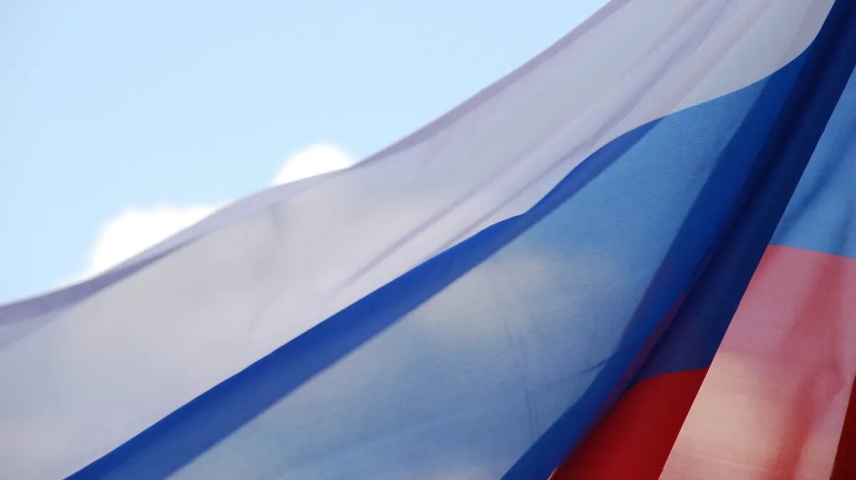 Данный проект находится на рассмотрении Государственной Думы РФ. Фото: Pxfuel.com