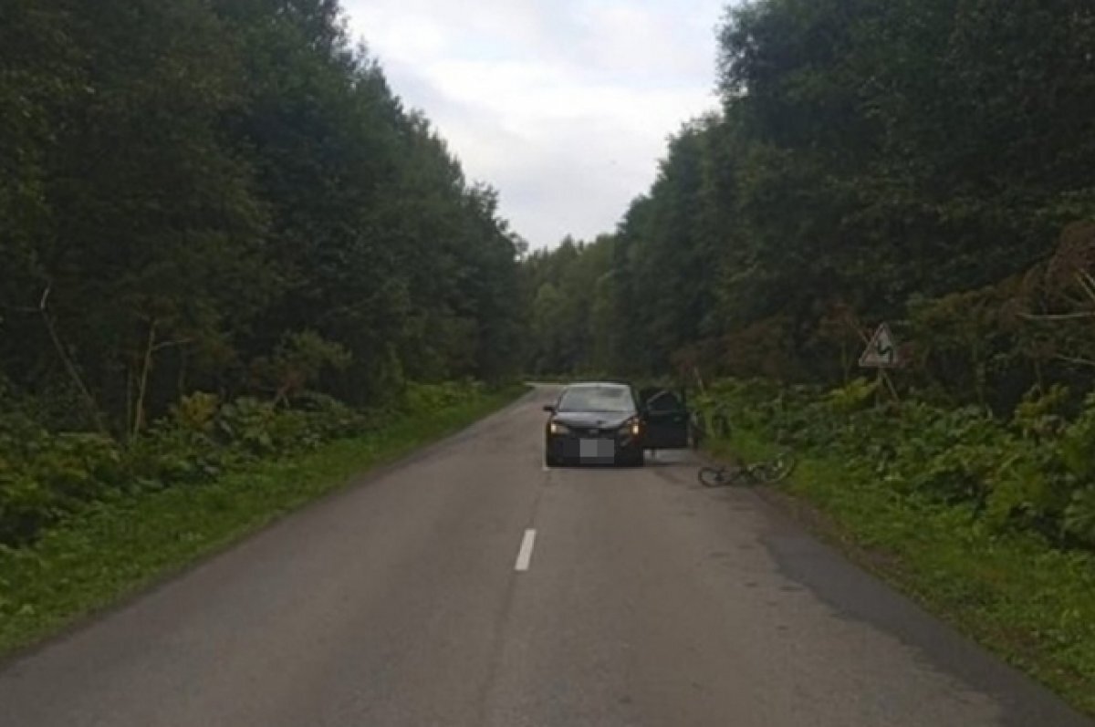    В Конаковском округе была сбита несовершеннолетняя велосипедистка