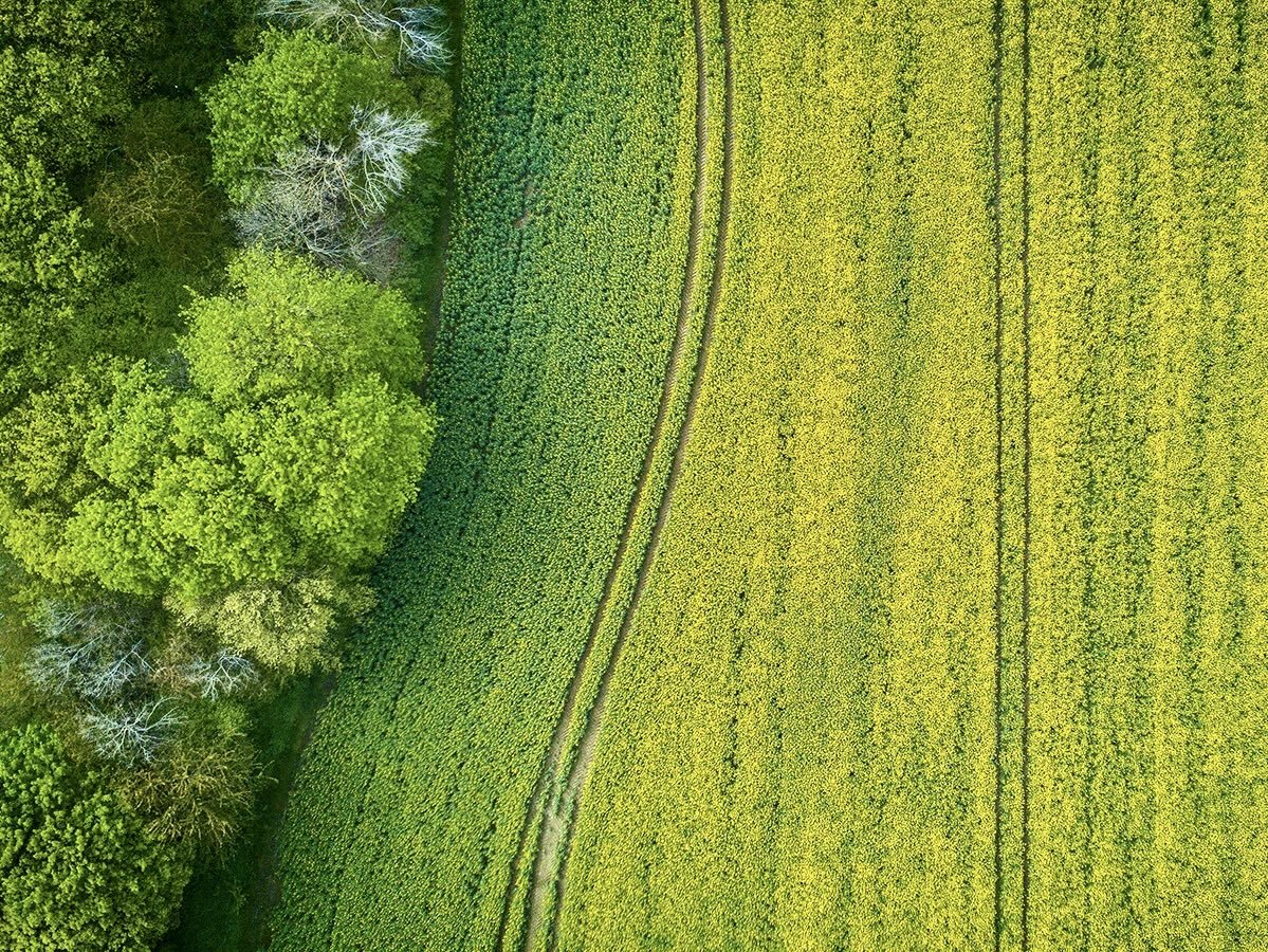 Фото для иллюстрации взято из открытого источника 