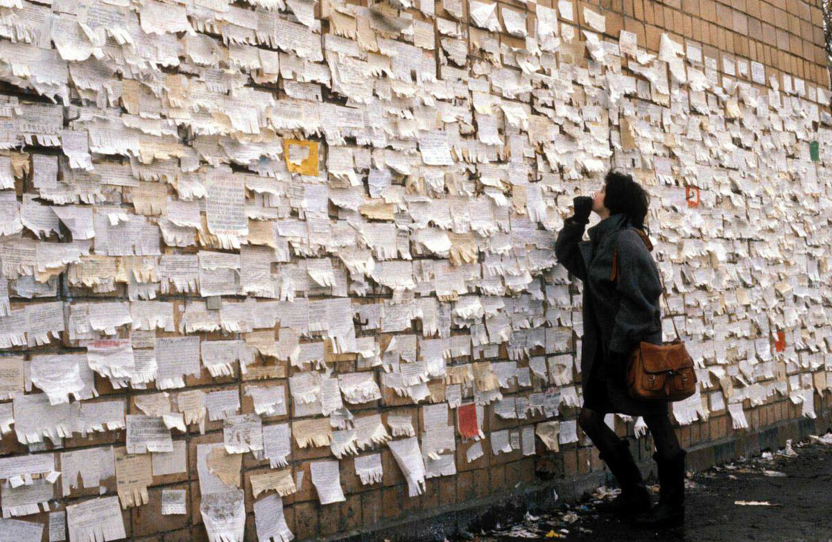 Фото из открытых источников