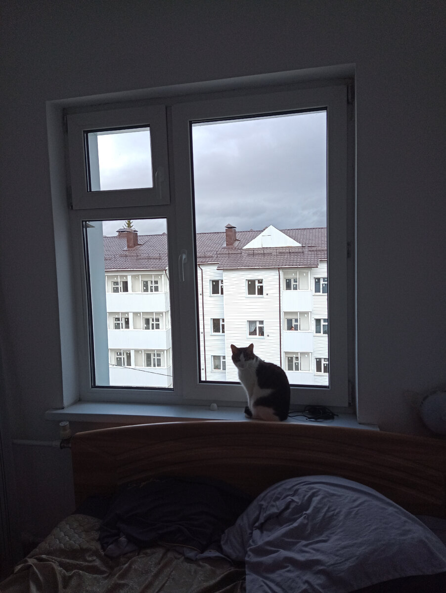 А за окном целый мир)