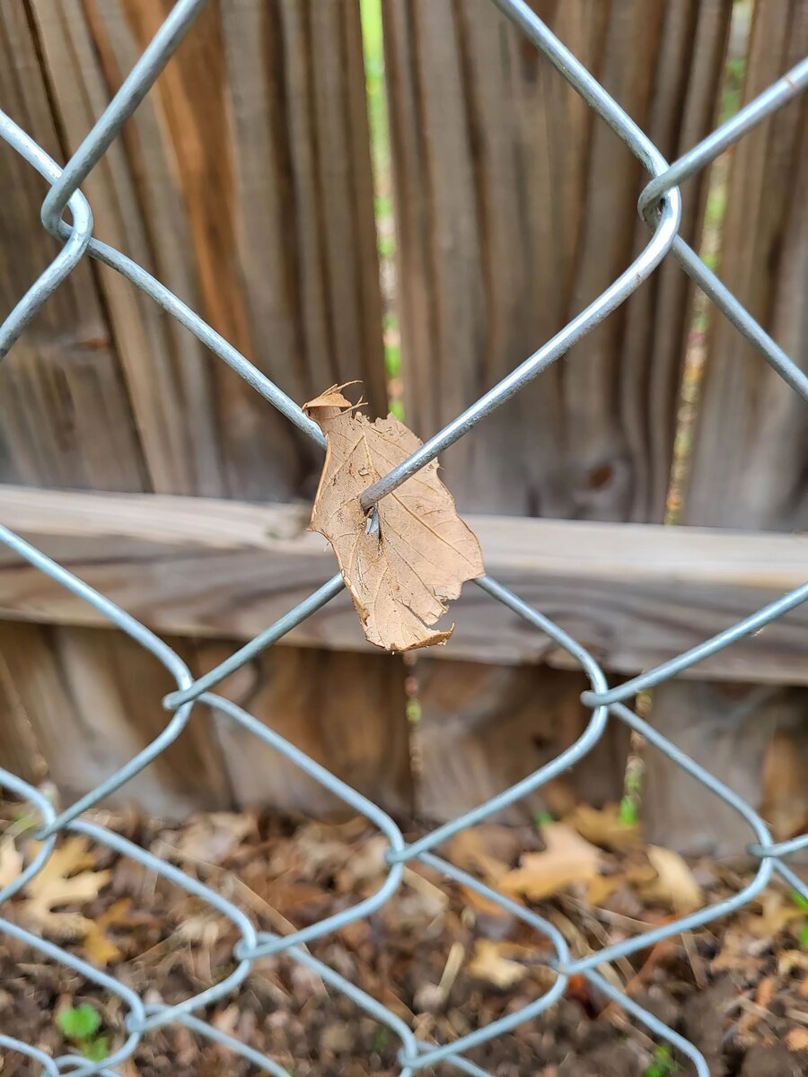 Фот из открытого доступа 