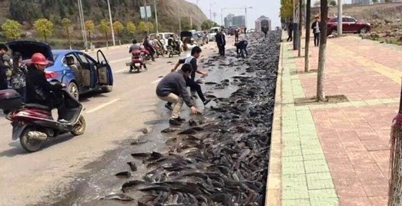 slavikap.livejournal.com