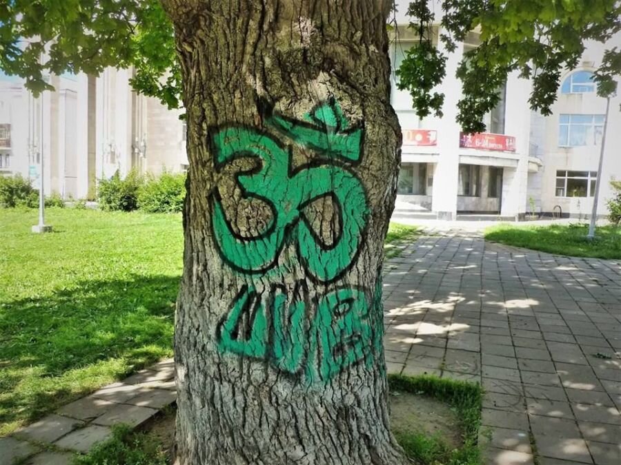  Фото: Людмила Штаубер.