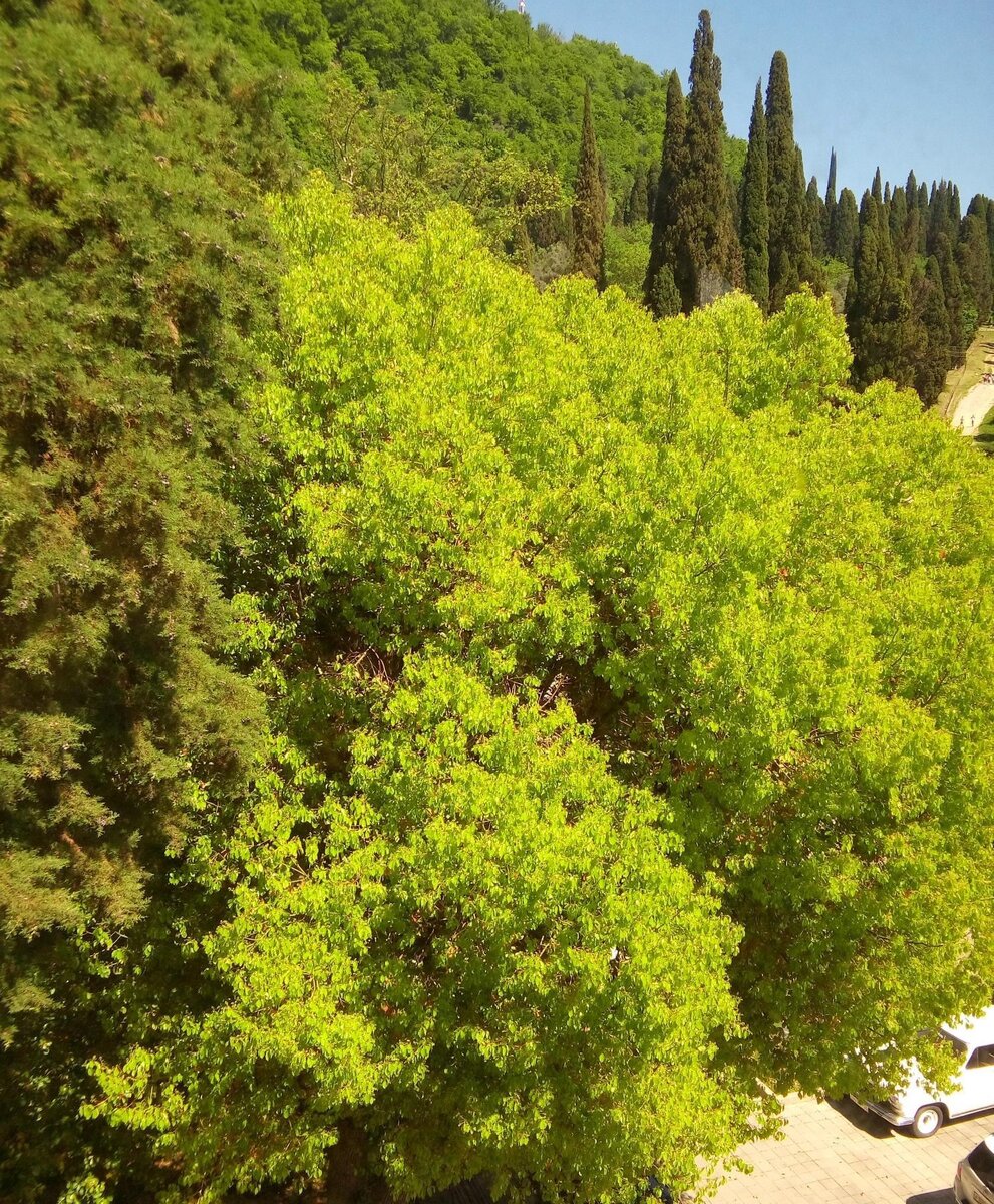 Вид из окна номера