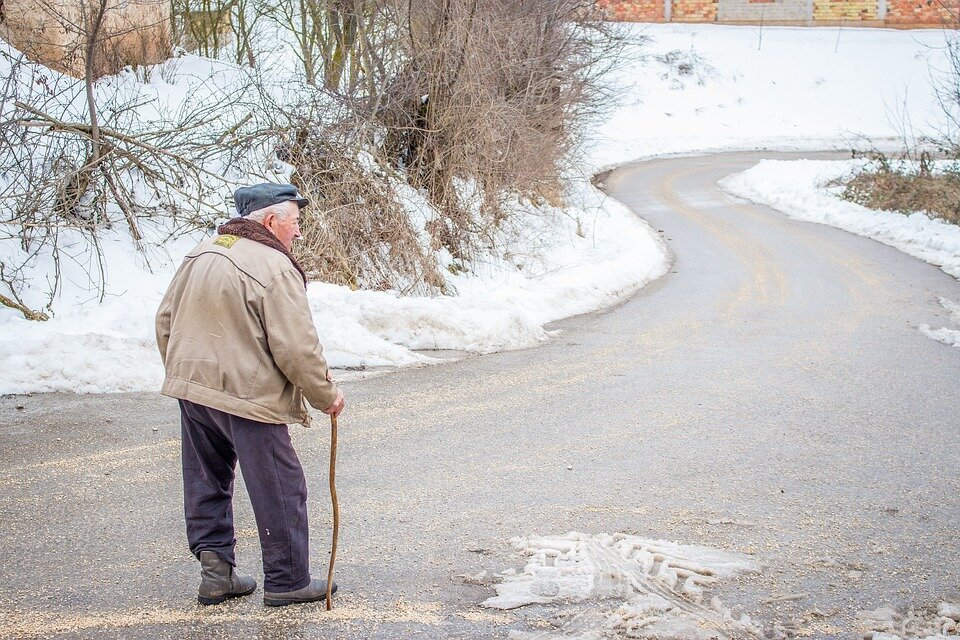 Источник фото https://pixabay.com/