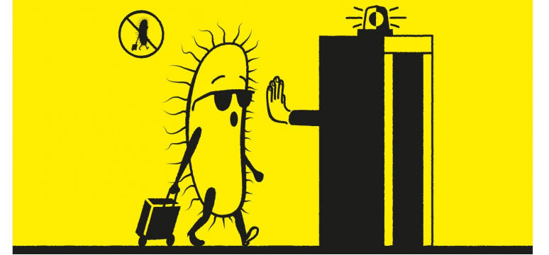 Новый прибор сможет идентифицировать инфицированных авиапассажиров