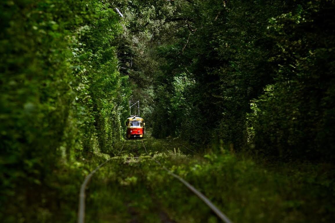 изображение взято с сайта Google.com 