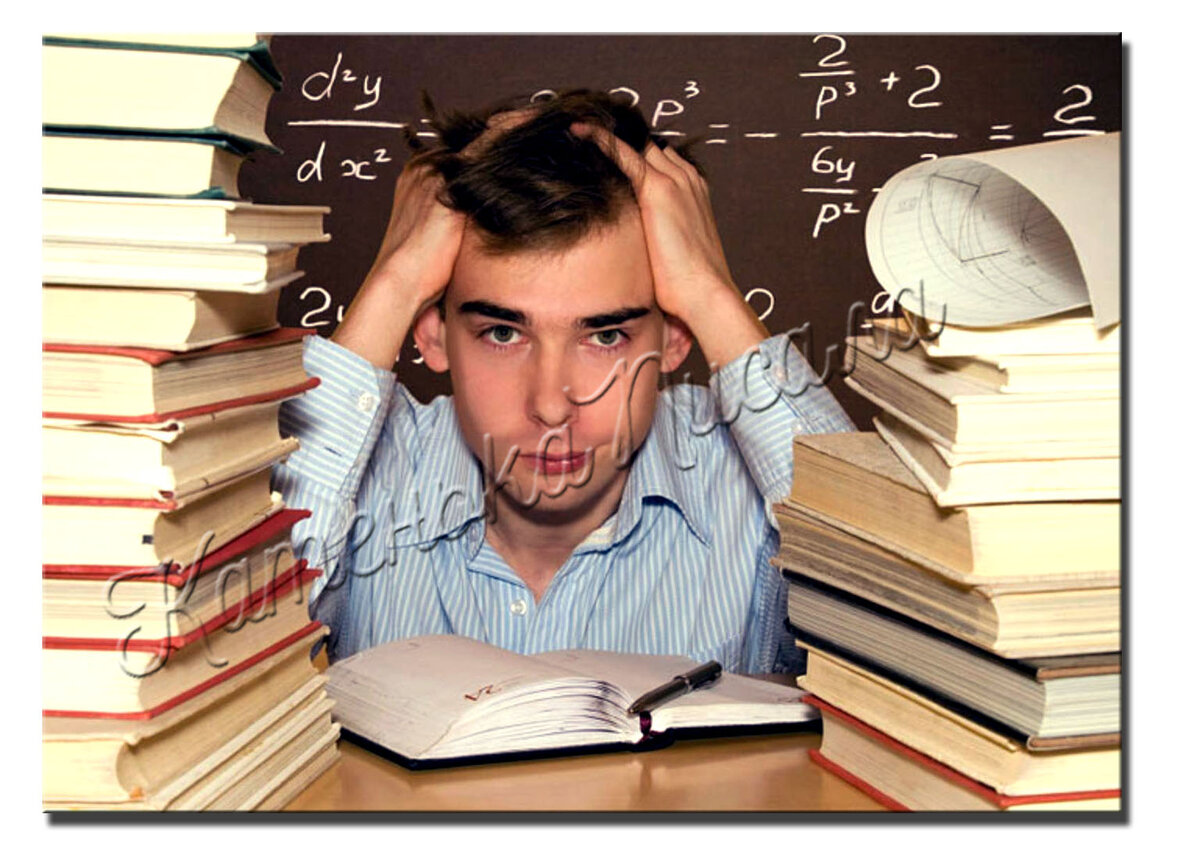 Бесплатное образование в России