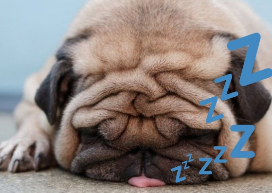 У каждого из нас бывал в жизни такой день, когда хочется все послать и просто выспаться. И как же бороться с желанием сделать так, чтобы ничего не делать?