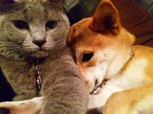 Селфи лучших друзей.