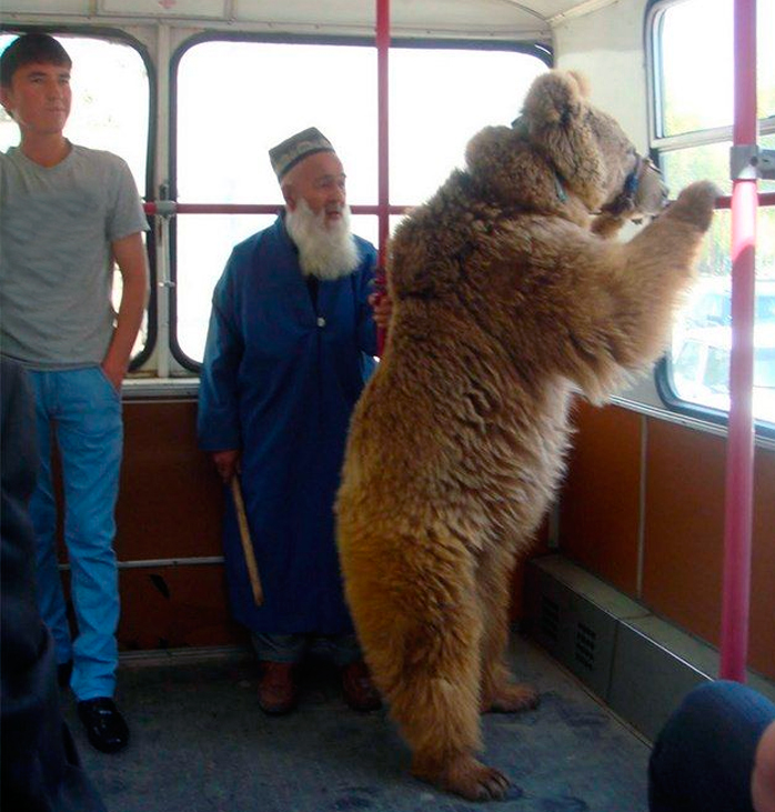 Западные мифы об СССР