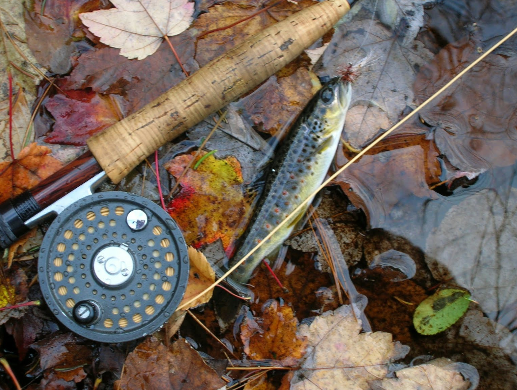 Нахлыстовая катушка. Фото SnastiMarket