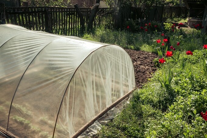Парник на солнце (Фото используется по стандартной лицензии ©ogorodnye-shpargalki.ru)