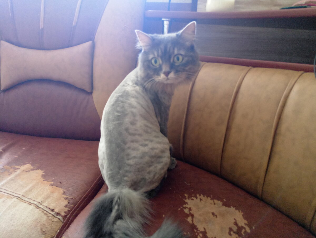 Маня после похода к стилисту