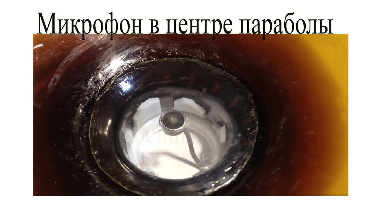 Направленный микрофон с чувствительным усилителем | Электронные схемы ...