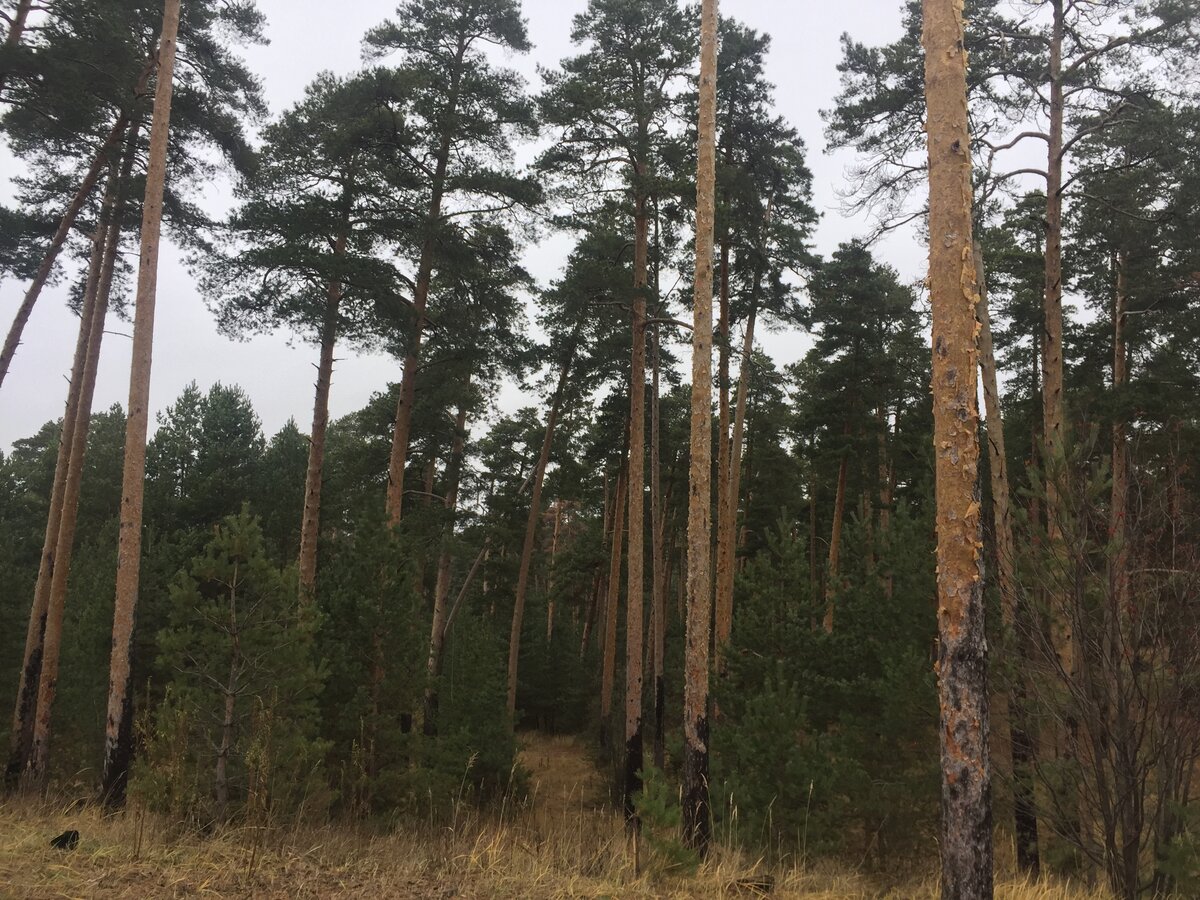 Личное фото