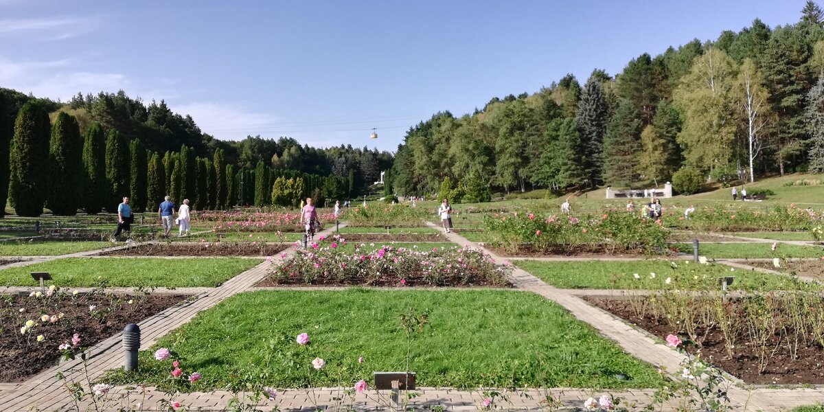 Долина роз) 