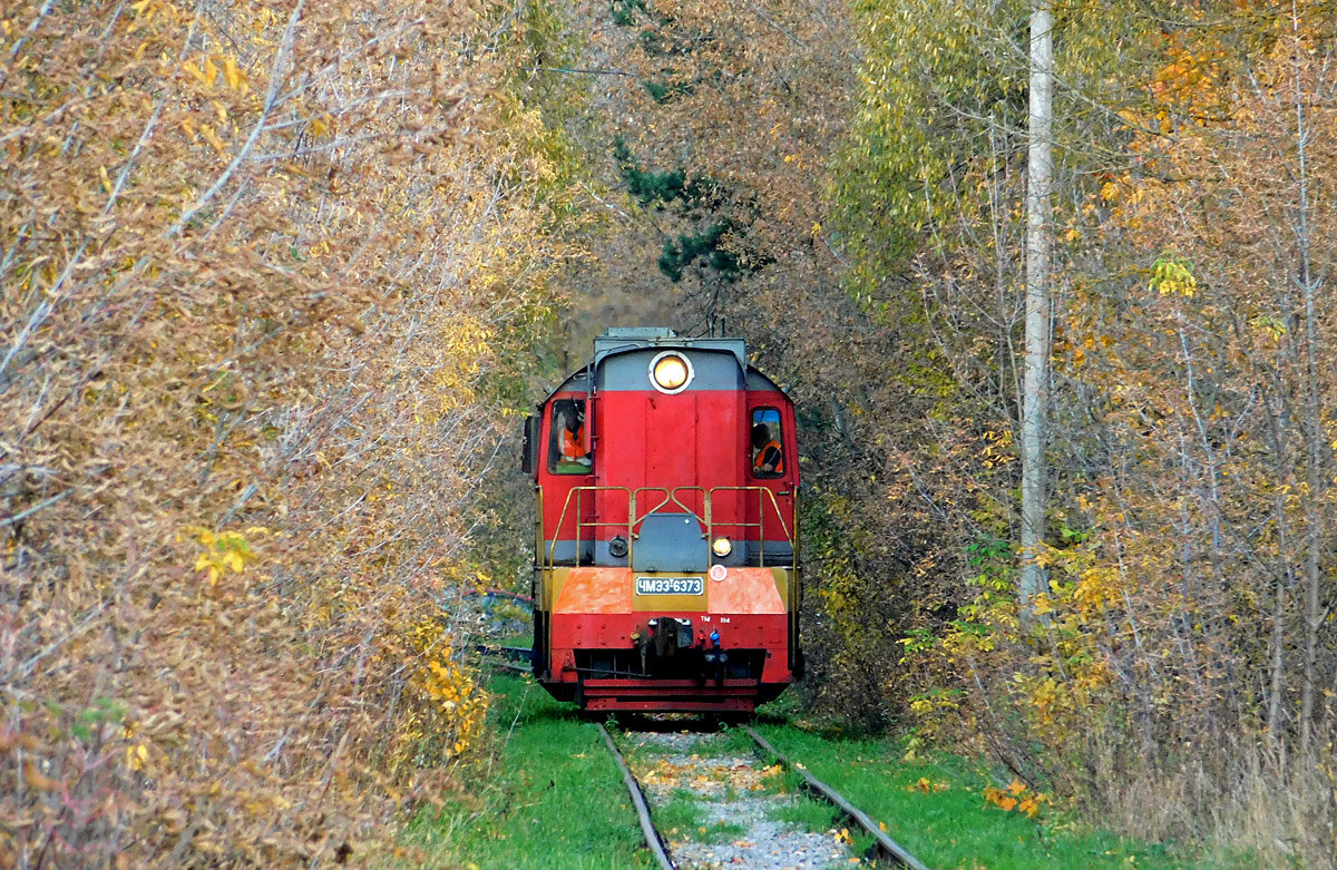 жд обнинск. скоростной поезд невский экспресс. эп2д киевский вокзал. жд обнинск санкт петербург. поезда обнинск.