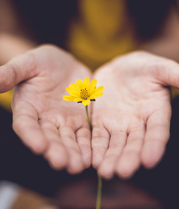 https://unsplash.com/photos/ktPKyUs3Qjs