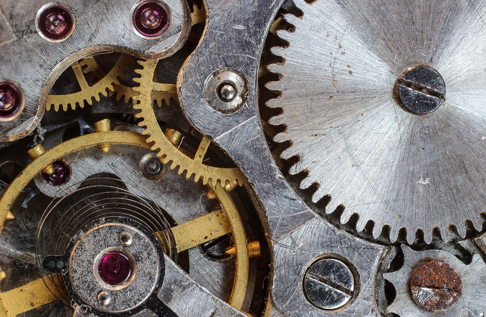 https://cdn.pixabay.com/photo/2016/06/12/20/26/macro-1452986_960_720.jpg