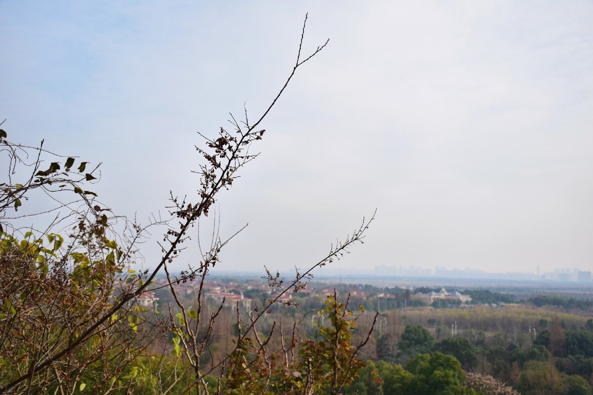 В Countryside Parks, судя по этому фото, можно почувствовать себя наедине с природой. Но вы, к сожалению, не видите других посетителей парка, прогуливавшихся за моей спиной, пока я фотографировала.