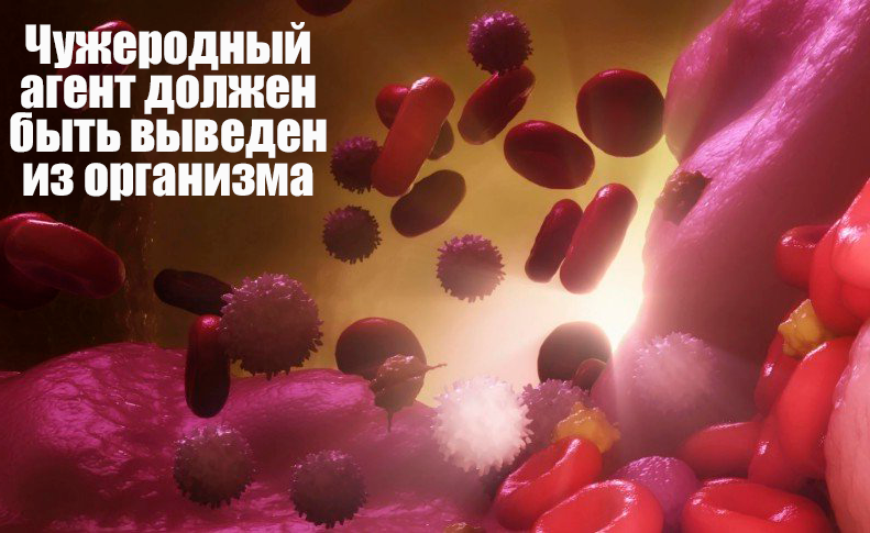 Процесс элиминации 