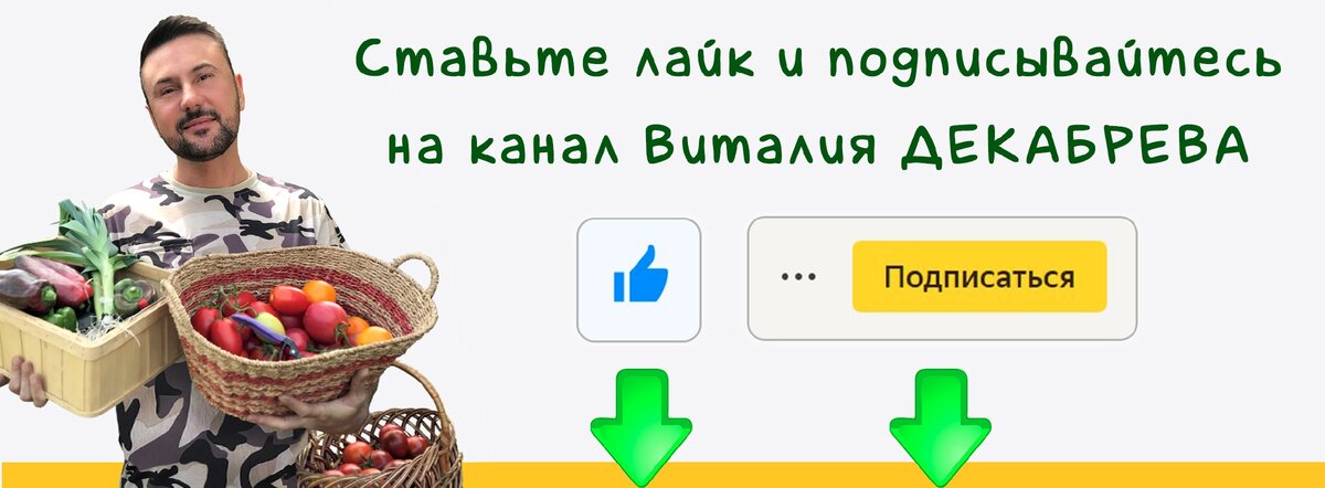 Что посеять в ноябре под зиму из ассортимента агрофирмы Партнер? (Видео)