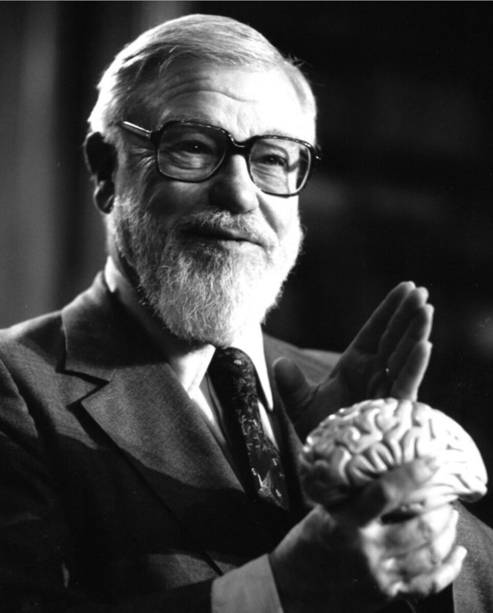 Гленн Доман