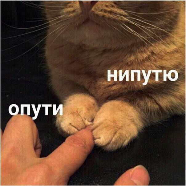 Картинка взята из интернета. 
