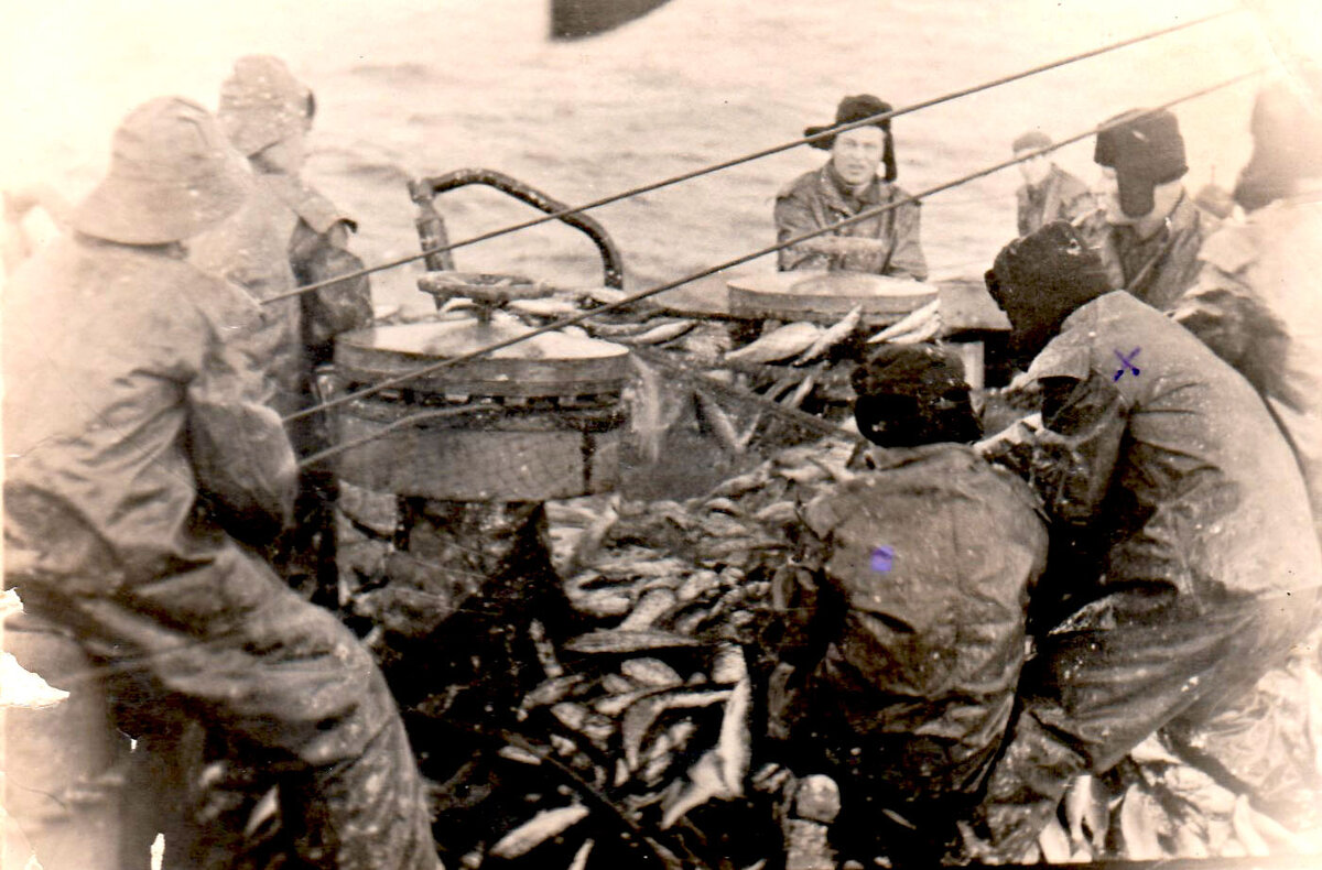 Хороший улов , сетками