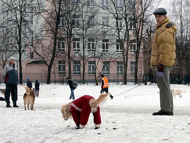 Источник: mk.ru/moscow