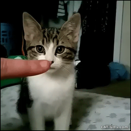 Когда считают тебя милым, но ты зло во плоти