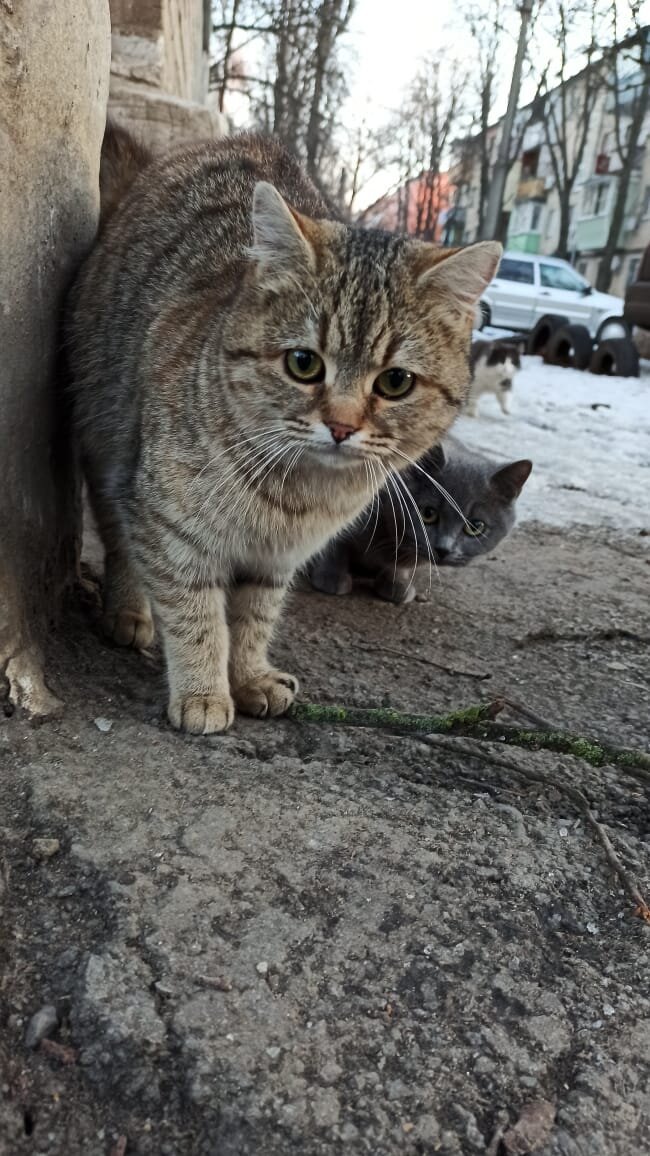 Мы вроде знакомы, но они ещё смотрят из-за угла