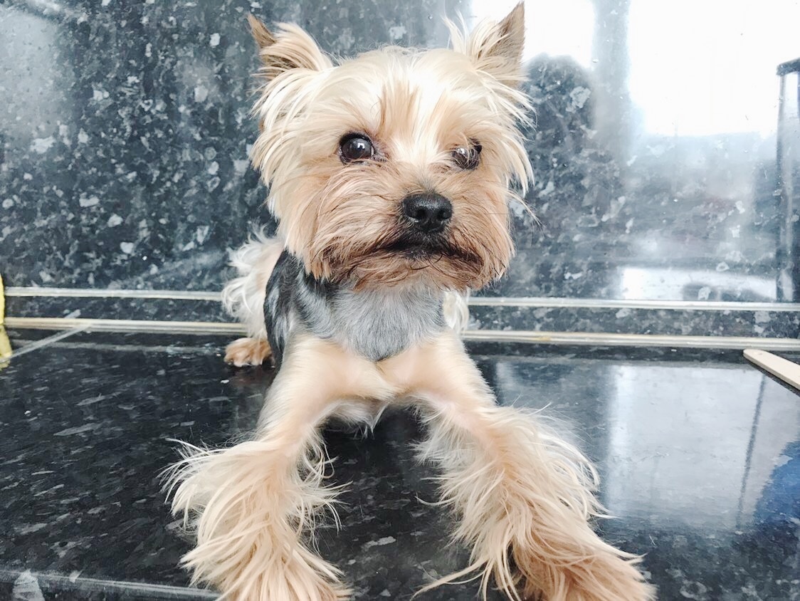 Привет! Делюсь с вами последними новостями.