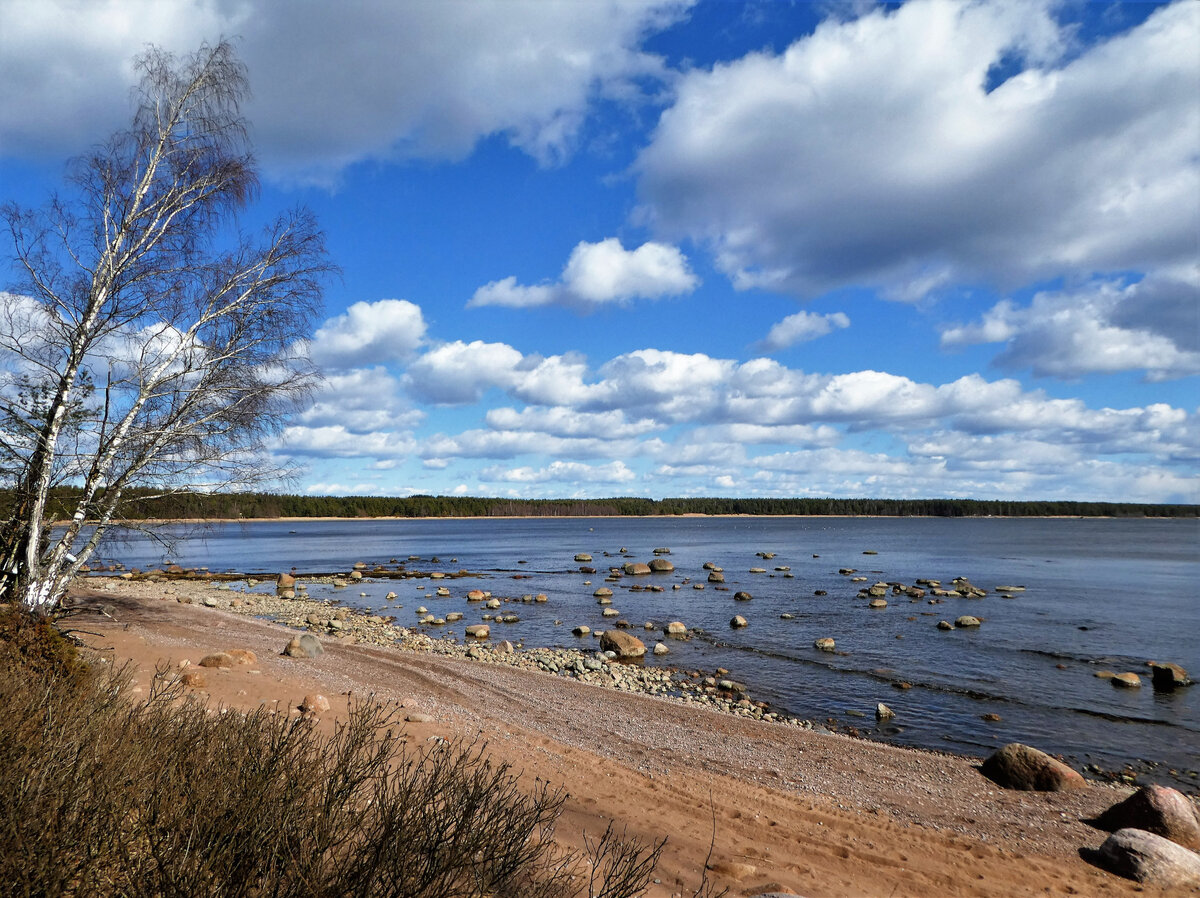 Берег Северной Двины Копачево