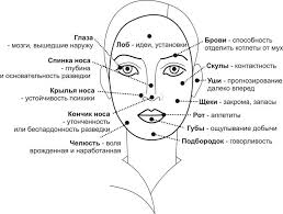 Основные положения