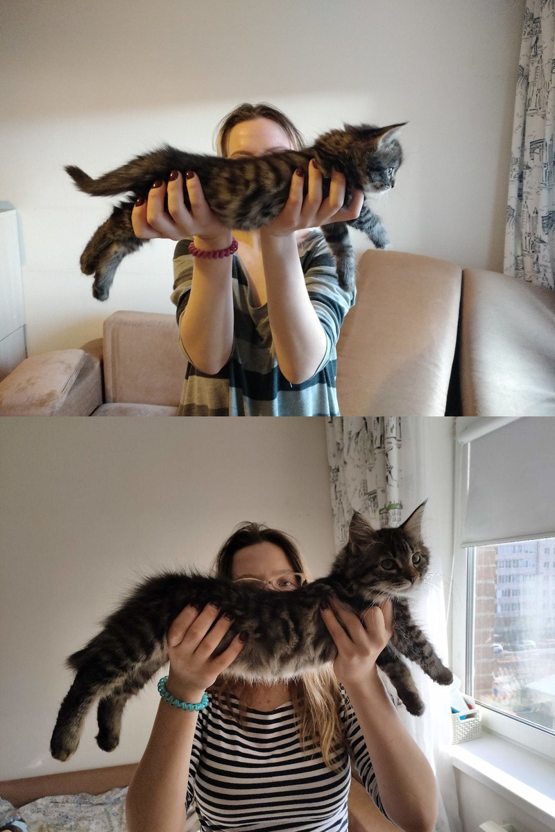 Разница на фото (2 месяца и 3 месяца)