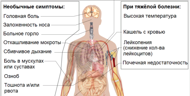 Symptoms of coronavirus disease 2019 (COVID-19), the disease seen in the 2019–20 coronavirus outbreak, and is caused by the Severe acute respiratory syndrome coronavirus 2 (SARS-CoV-2).