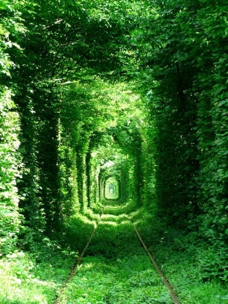 Этот тоннель из деревьев окутывает железнодорожные пути, которые проходят около города Клевань. Из-за своей удивительной красоты и романтичности это место прозвали Тоннелем любви. Летом, когда тоннель находится в самом расцвете, сюда любят приезжать новобрачные, сделать фотографию на его фоне считается хорошим знаком. 
Тоннель Любви

