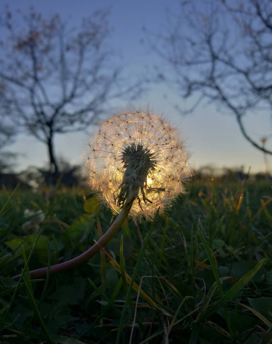 Фото автора.