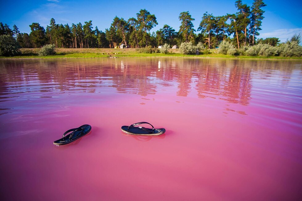 Источник Яндекс картинки